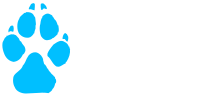 Second Life
